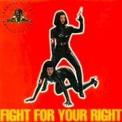 Fight For Your Right