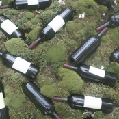 Jag vet, du är inte min