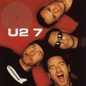 Big Girls Are Best by U2