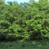 Fucking Donations Single