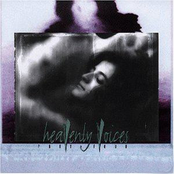 Heavenly Voices Part IV