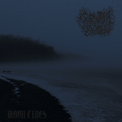Moon Tides