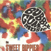 Bubblegum Music / Love, Anyway You Want