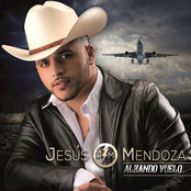 Alzando Vuelo