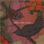 Mahria / Todos Caerán Split