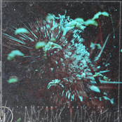 All Dreams Unravelled