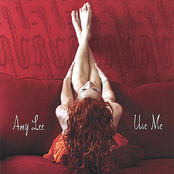 Why You Wanna by Amy Lee