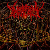 The Butcher's Demos 2