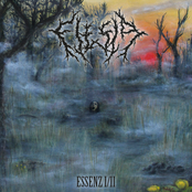 Essenz I / II