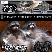 Agathocles / Seborrheic Keratosis