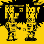 Robo Diddley vs. the Rockin' Robot