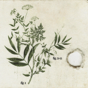 uproot a failed version