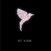 Birdie Country: Hit 'N Run