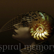 Spiral Memory