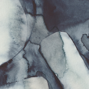 Echolocation - Single