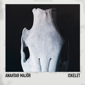 Iskelet