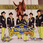 Los Vendavales de Adan Melendez: De Oro - 50 Anos De Musica