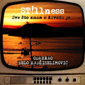 Sve što znam o životu je.. odabrao Đelo Hadžiselimović