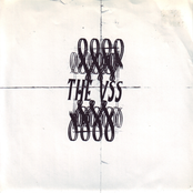 The VSS