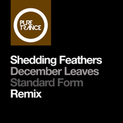 December Leaves (Standard Form Remix)