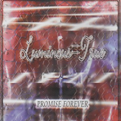 PROMISE FOREVER