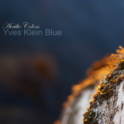 Yves Klein Blue by Acrilic Colors