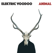 Elektric Voodoo: Animal