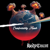 Comfortably Numb (single)