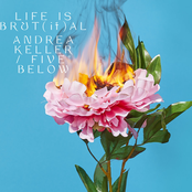 Life is Brut[if]al