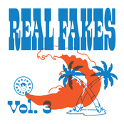 Real Fakes, Vol. 3