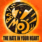 The Hate In Your Heart