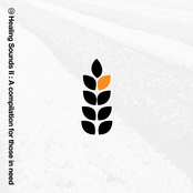 Healing Sounds Ii: A Compilation For Those In Need
