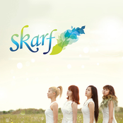 스카프 (skarf)