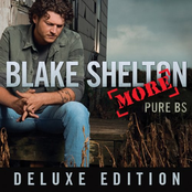 This Can't Be Good by Blake Shelton