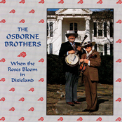 When The Roses Bloom In Dixieland
