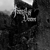 Ruins of the Forgotten