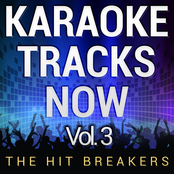 Karaoke Tracks Now, Vol. 3
