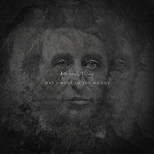 Why I Went To The Woods