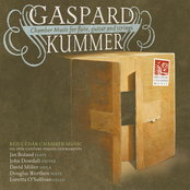 Kummer: Chamber Music for Flute, Guitar and Strings