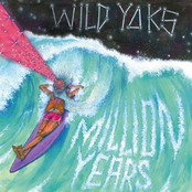 A Million Years by Wild Yaks