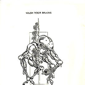 Krähen Röhren - Röhren Krähen