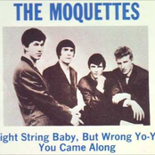 the moquettes