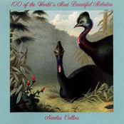 Nicolas Collins: 100 Of The World's Most Beautiful Melodies