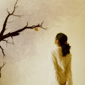 The Last Leaf On The Tree