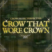 CROW THAT WORE CROWN