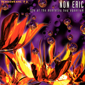 Life At The Monterey Bay Aquarium