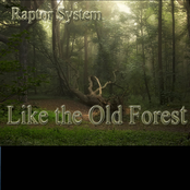 Like The Old Forest