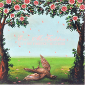 Let's Die Forever...together