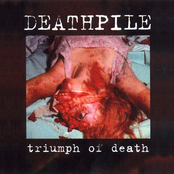 Triumph Of Death