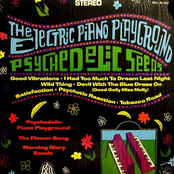 electric piano playground